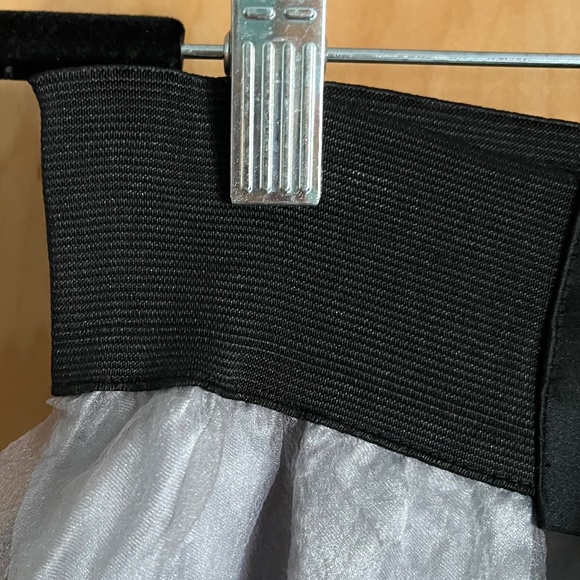 Sheer Silver Gray Fully Lined Skirt w/ Black Stretch Waistband Size Large NWT - Picture 4 of 6